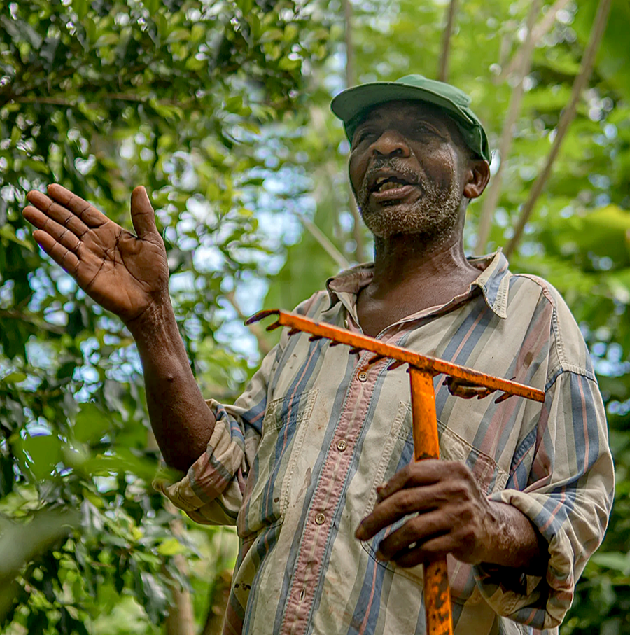 Donge_Spice_Garden_With_Worker
